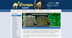 Desktop Screenshot of crowncamel.com
